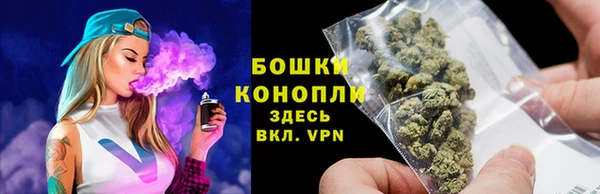 тгк Богородицк