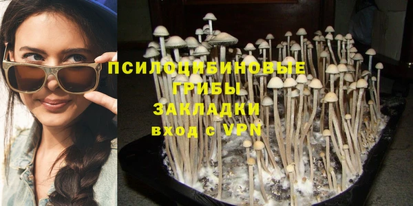 марки nbome Бородино