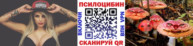 ОМГ ОМГ рабочий сайт  сайты даркнета состав  Острогожск  Псилоцибиновые грибы MAGIC MUSHROOMS  где найти наркотики 